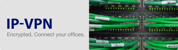 ip-vpn